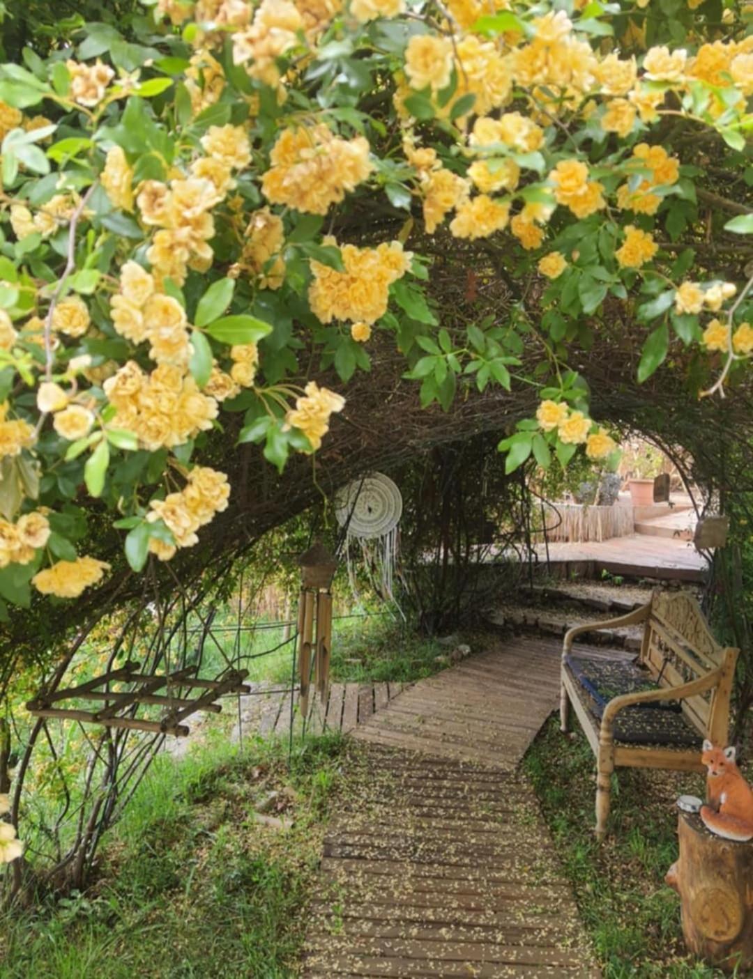 La Lyalis Bed & Breakfast Aiguines Exterior photo